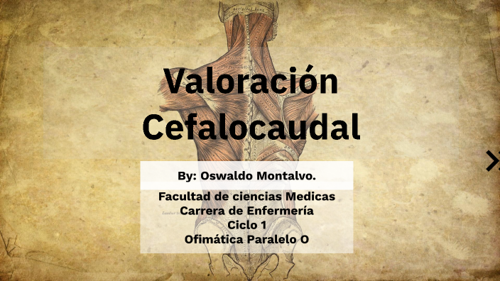 Valoración Cefalocaudal by Oswaldo Montalvo on Prezi