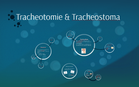 Traceatomie by Maaike boelhouwer on Prezi