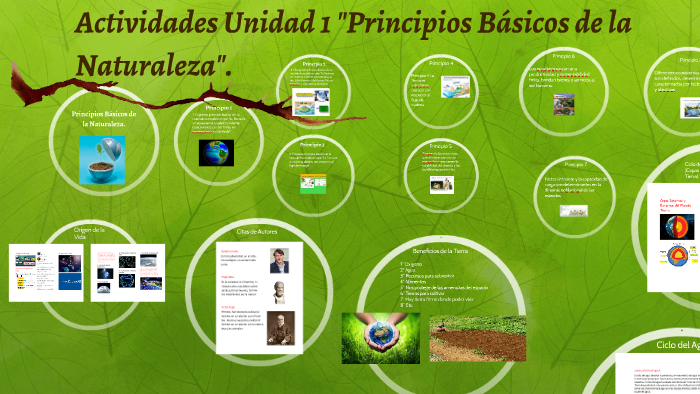 Los 8 Principios De La Naturaleza prezi.com