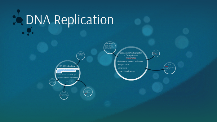DNA Replication by Brennan Curtis on Prezi