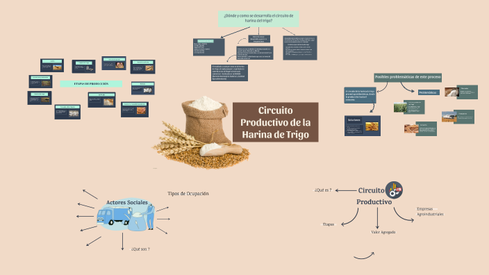 Proceso Productivo de la Harina de Trigo by Paula Armanini on Prezi