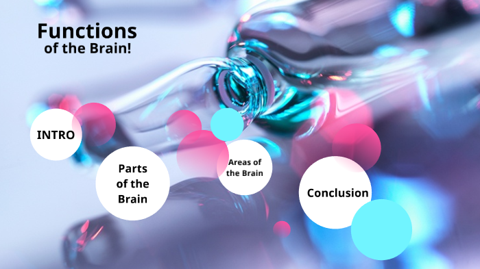 Functions of the Brain by Trevor LaBay on Prezi