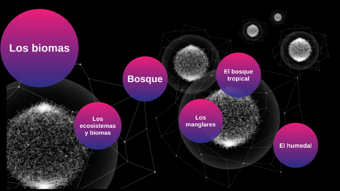 los biomas presentación biología by juana diaz lemus on Prezi