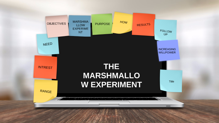 marshmallow experiment studio c