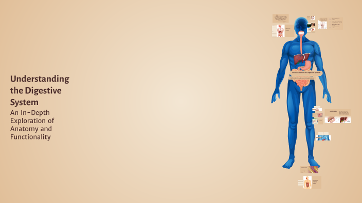 Understanding the Digestive System by Abdelhamed Nawara on Prezi