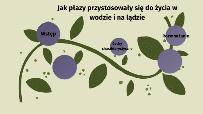 Jak płazy przystosowały się do życia w wodzie i na lądzie by Karolina