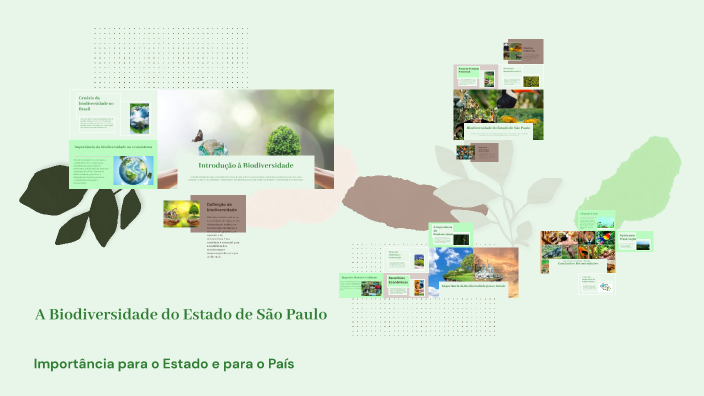 A Biodiversidade do Estado de São Paulo by Mary Souza on Prezi