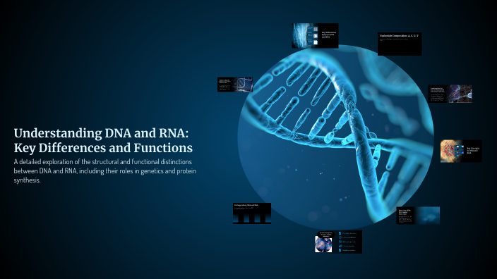 Understanding DNA and RNA: Key Differences and Functions by Richard ...