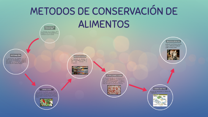 Metodos De Conservacion De Alimentos By Esteban Daza Cardenas 2335