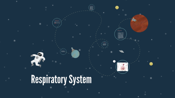 Respiratory System by Zoe Smith on Prezi