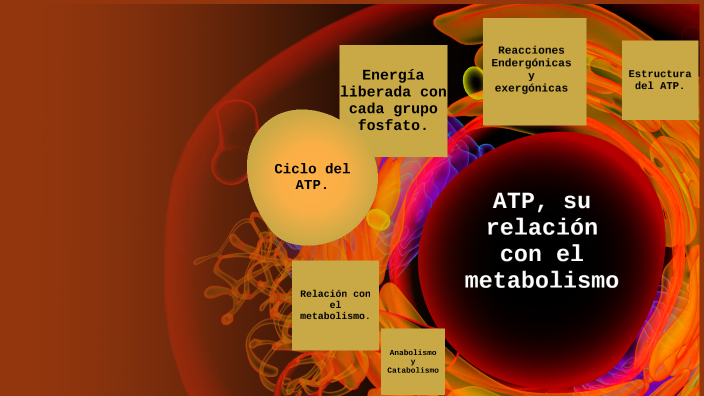 Estructura del ATP. Reacciones endergónicas y exergonicas. Energía