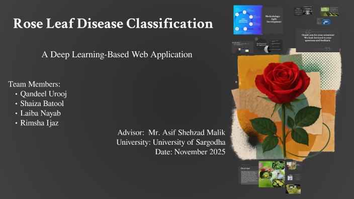 Rose Flower Classification Using Machine Learning Rose Leaf Disease Classification by Qandeel urooj on Prezi
