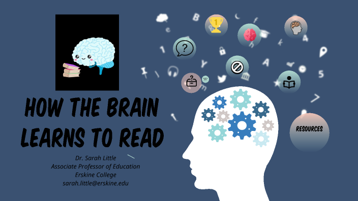 how the brain learns to read presentation