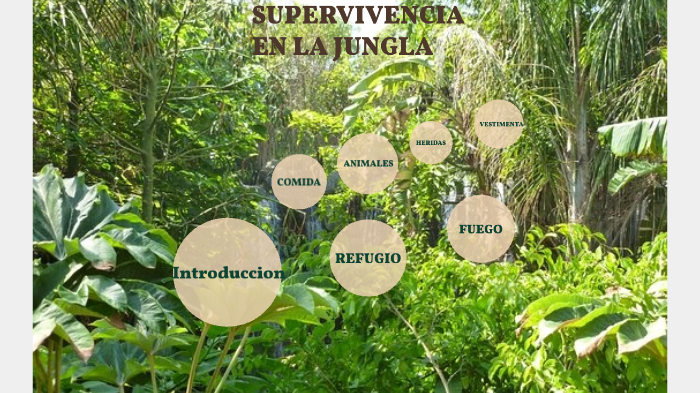 SUPERVIVENCIA EN LA SELVA by Selene Ramirez Zurbitu on Prezi