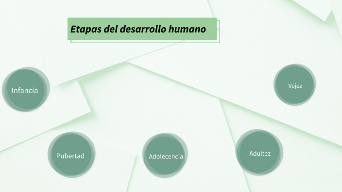 Presentación en Prezi Etapas del desarrollo humano by Lyzander García ...