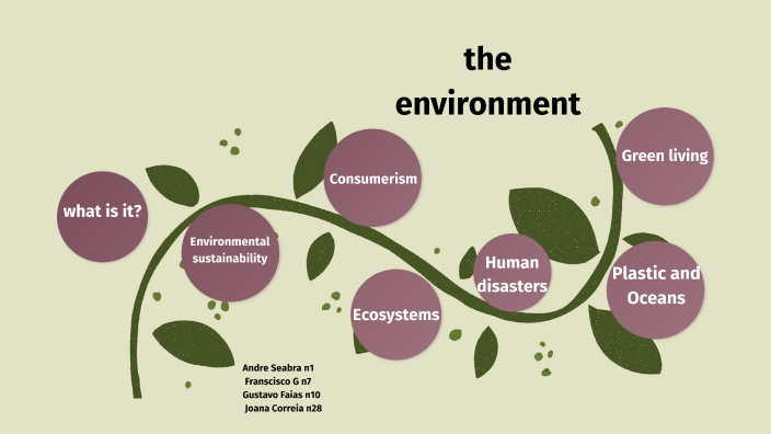 The environment by joana maia on Prezi