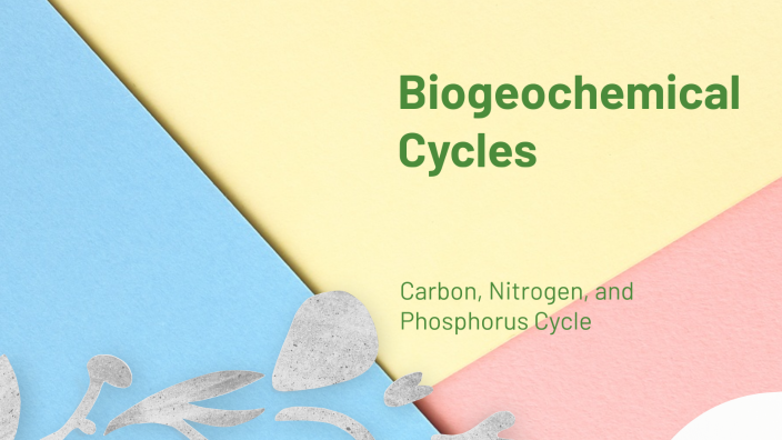 Biogeochemical Cycles by alyssa castillo on Prezi