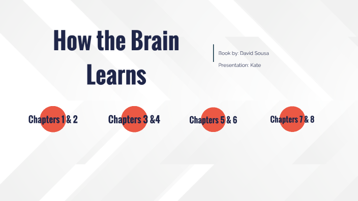 Exploring Concepts from How the Brain Learns by Kate Wynveen on Prezi