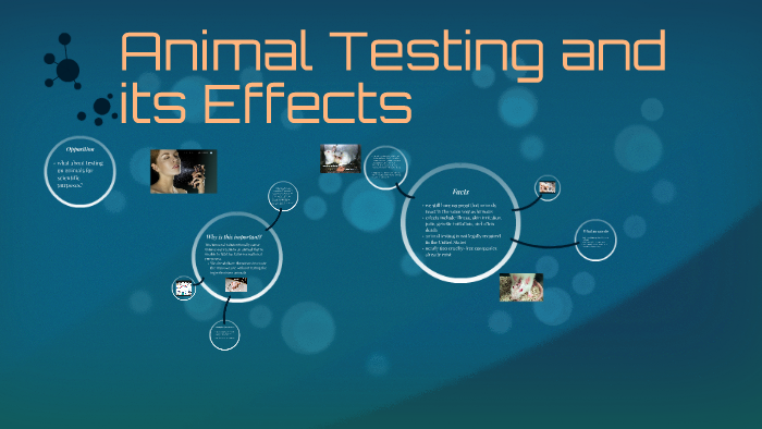 animal-testing-and-its-effects-by-brianna-shanae