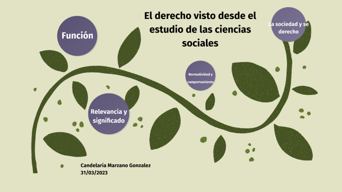 El derecho visto desde el estudio de las ciencias sociales by Cande