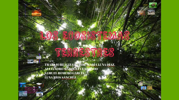 Los ecosistemas terrestres by Maria Luna Díaz on Prezi