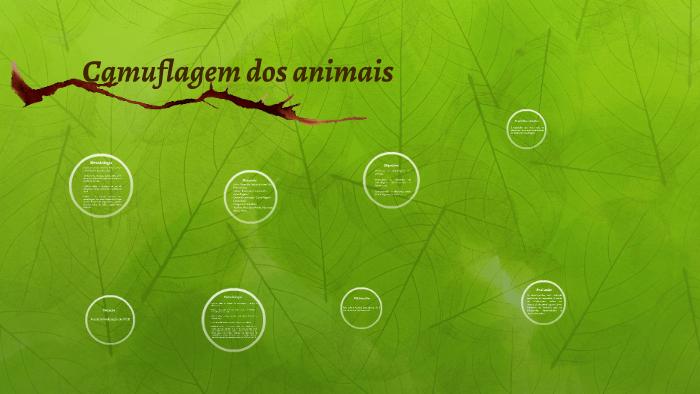 Plano de aula - Camuflagem by on Prezi