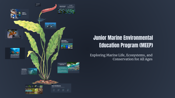 Marine Environmental Education Program (MEEP) by Jamil Wilson on Prezi