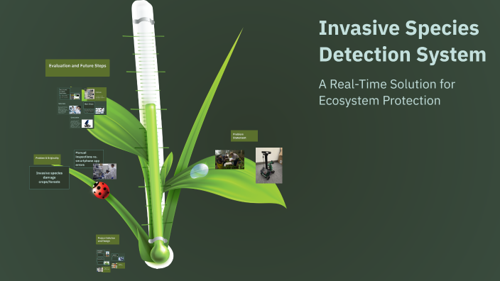 Invasive Species Detection System by Hamzi Farhat on Prezi