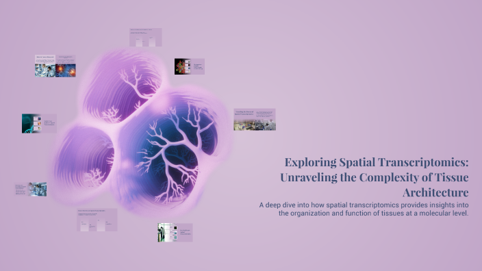 Exploring Spatial Transcriptomics: Unraveling the Complexity of Tissue ...