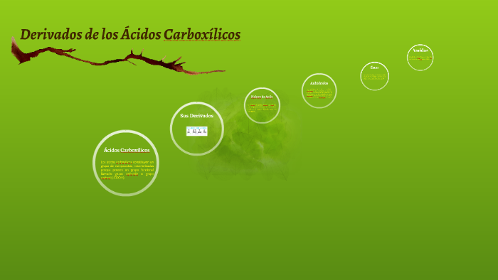 Derivados De Los Ácidos Carboxílicos By Carlos Mayorga Lozada On Prezi