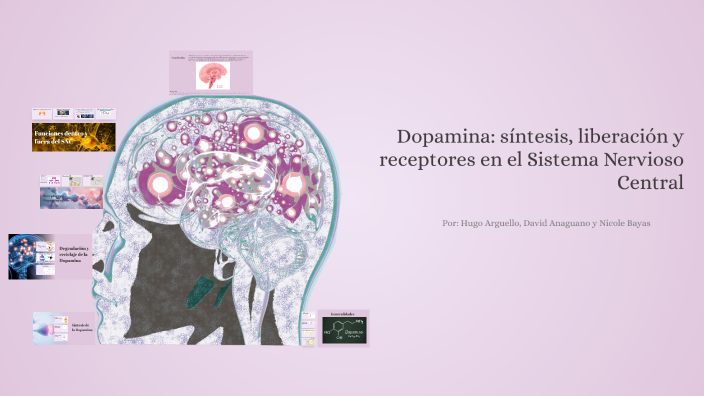 Dopamina: síntesis, liberación y receptores en el Sistema Nervioso ...