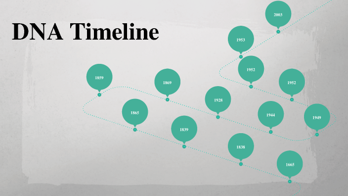 Lorentzen DNA Timeline by Micaela Lorentzen on Prezi