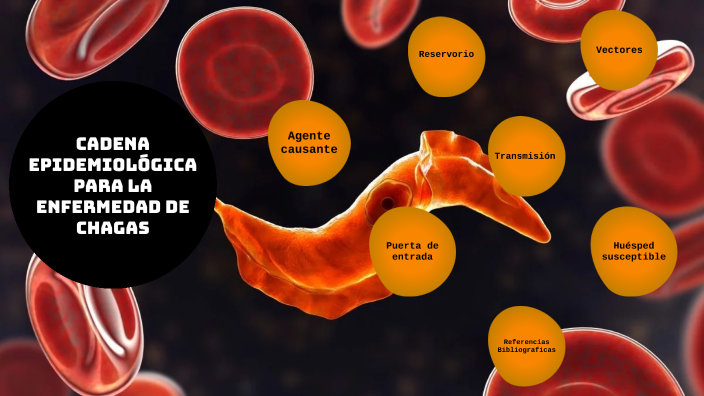 Cadena epidemiológica para la enfermedad de Chagas by Jaider Mena on Prezi