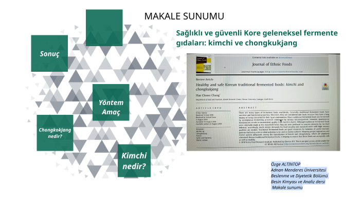 Makale Sunumu By Ozge Altıntop On Prezi