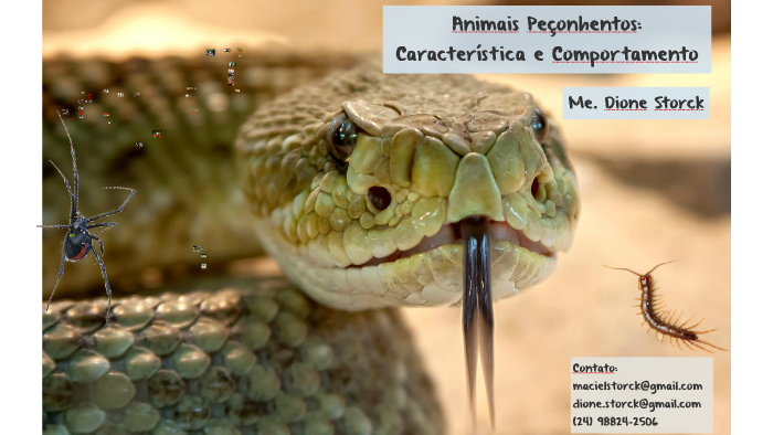 Introdução, Características e Comportamento de Serpentes by Dione Storck