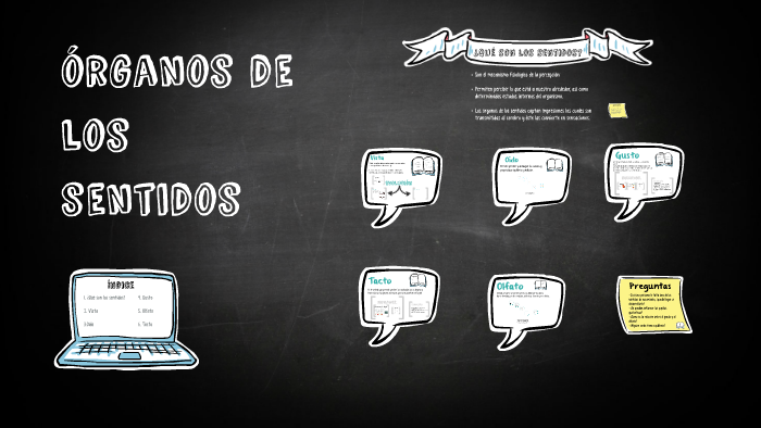 órganos de los sentidos by Irene Aparicio on Prezi Next