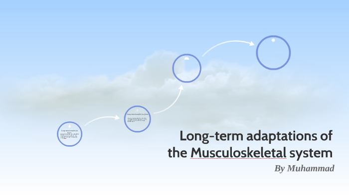 Long Term Adaptations Of The Musculoskeletal System By Muhammad Kinteh On Prezi