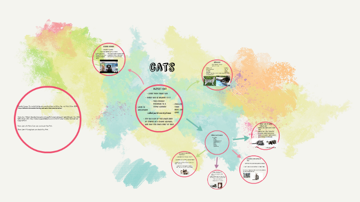 cats by on Prezi