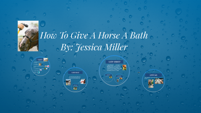 how-to-give-a-horse-a-bath-by-jessica-miller