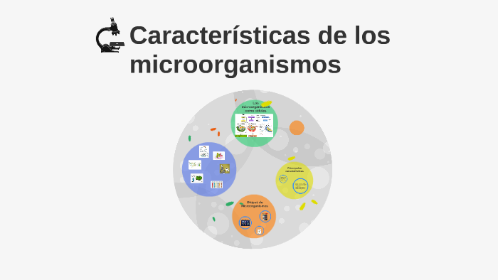 Características de los microorganismos by Leticia Paul on Prezi