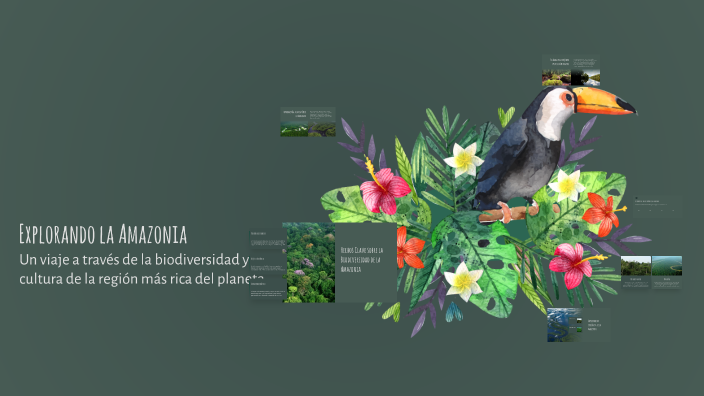 Explorando la Amazonia by Vale Vélez on Prezi
