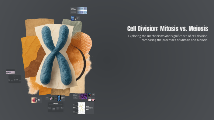 Cell Division: Mitosis vs. Meiosis by Tammie Armstrong on Prezi