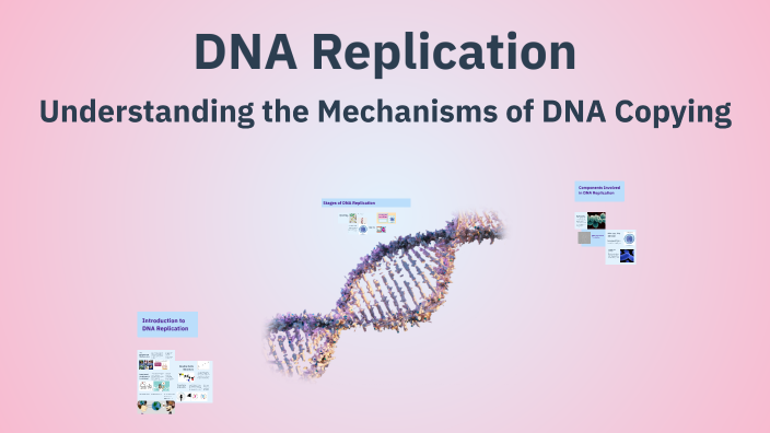 DNA Replication by N I on Prezi