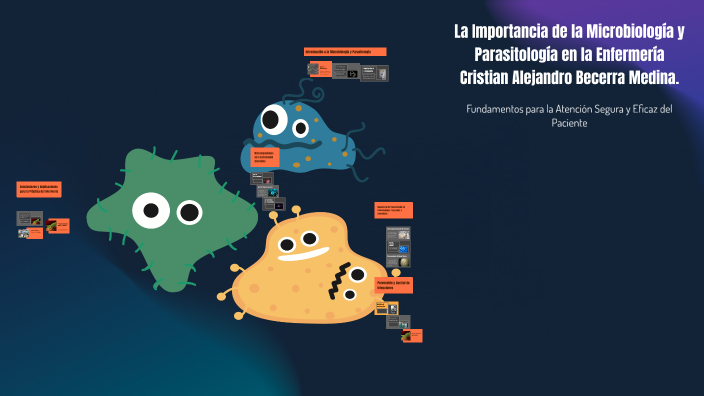 Importancia De La Parasitologia En Enfermeria prezi.com