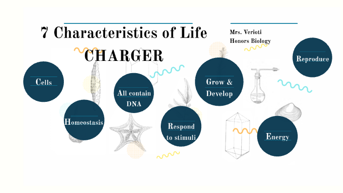 the-7-characteristics-of-life-pdf