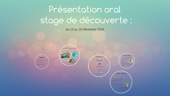 Diaporama Oral De Stage By Sephora White On Prezi Next