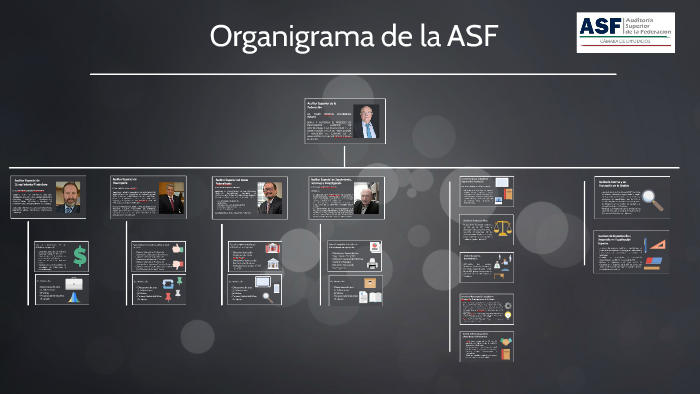 Auditoría Superior De La Federación Funciones
