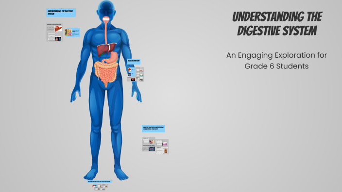 Understanding the Digestive System by Sonia Javaid on Prezi