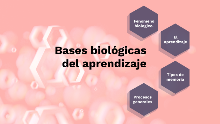 Bases Biológicas Del Aprendizaje By Alexandra Alvarez Hernandez On Prezi