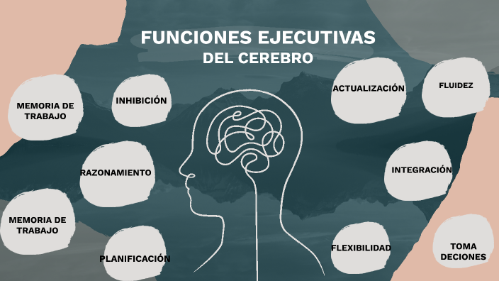 Funciones Ejecutivas Del Cerebro By Yuranys Mu Oz On Prezi
